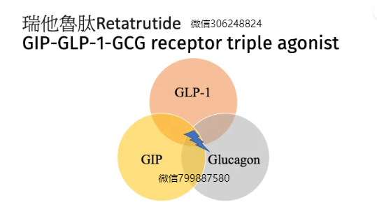 瑞他鲁肽是什么药