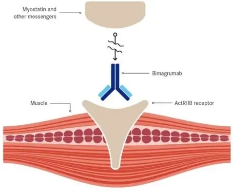 mmexport1743631477952.jpg